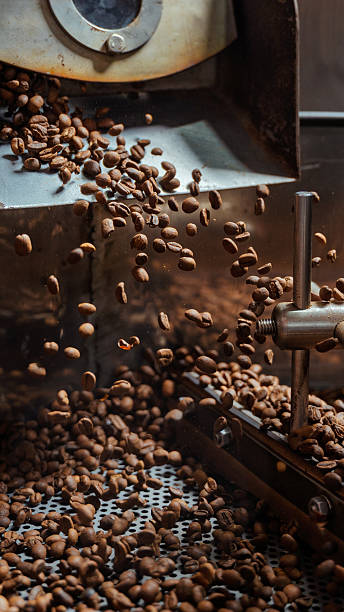 istock Roasted coffee beans falling into cooling tray from roaster 2240631753