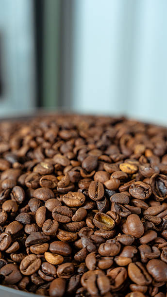 Roasted coffee beans close up for invigorating beverage