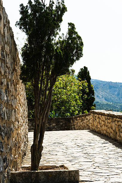 istock Stone Wall Pathway With Green Trees Outdoors 2240633159