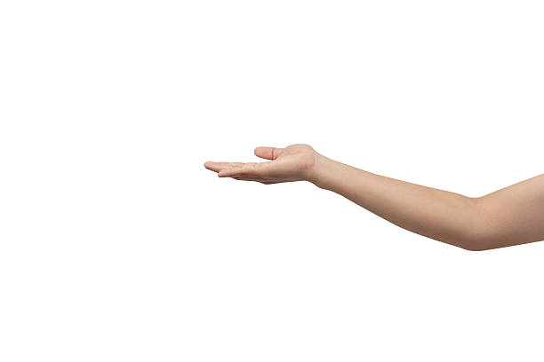 istock A hand with an open palm extended forward, isolated on a clean gray background. Perfect for concepts of offering, giving, receiving, or holding an invisible object. There is ample negative space for text or other elements. 2240639578