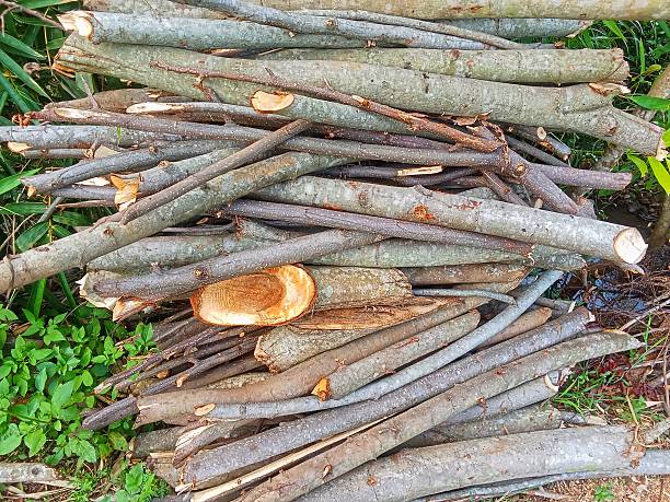 A pile of firewood - close up