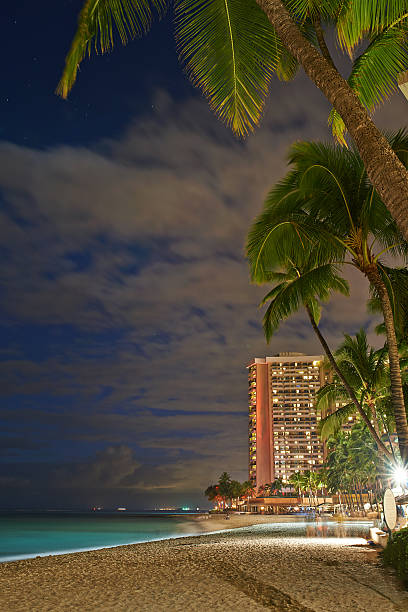 The mesmerizing night scene showcases a beachfront hotel in Hawaii, framed by palm trees under the starry sky, encapsulating serenity and tropical allure. The inviting shore hints at peaceful seaside strolls.