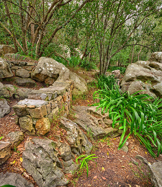 Japanese Garden at Hermann Park in Houston, Texas
