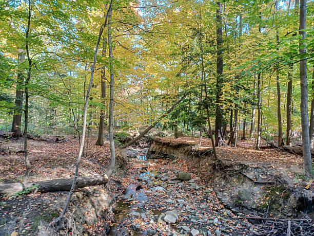 istock James Gardens park in Toronto 2240656133