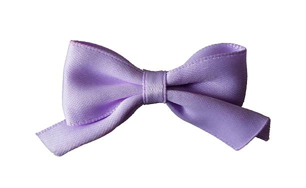 istock cute purple bow tie isolated 2240668199