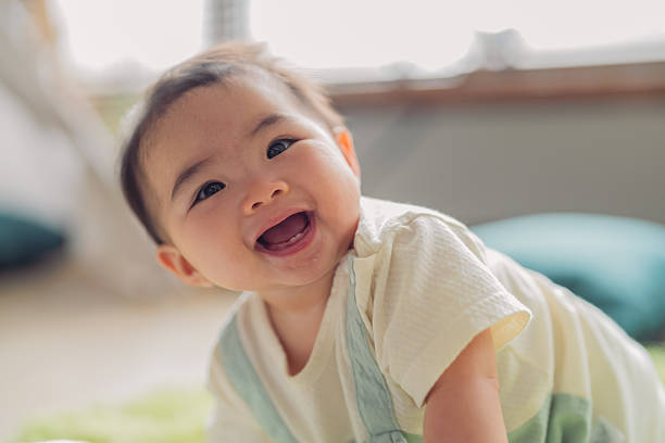 istock Adorable Asian baby girl in casual clothes laughs joyfully while practicing crawling and taking her first steps on a wooden floor and soft carpet in the cozy living room, smiling brightly with curiosity and excitement as she learns to stand and walk 2240670044