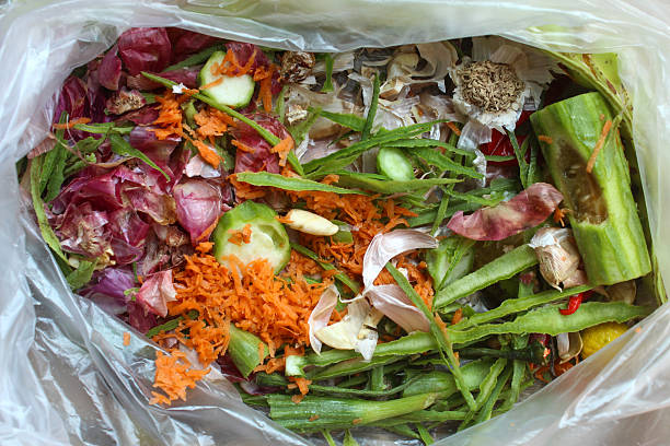 istock organic waste from kitchen vegetable scraps in plastic bags, consisting of red onion skins, cucumber pieces, grated carrots, garlic skins, and pieces of green vegetables 2240671237
