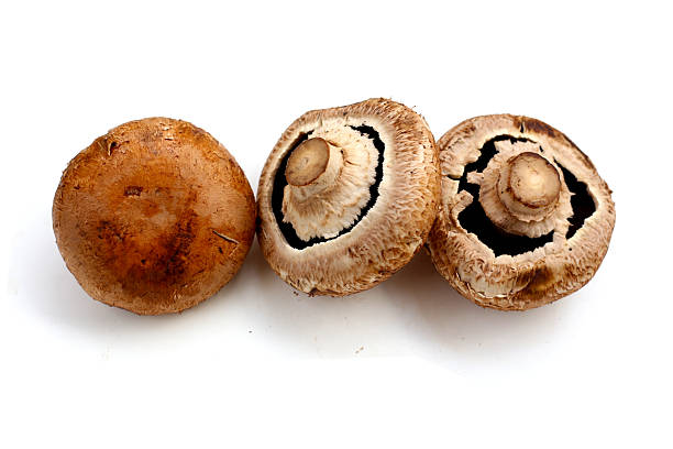 istock Fresh portobello mushrooms with visible gills underneath. 2240673913