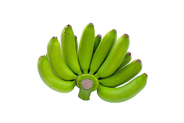 istock Unripe green bananas in a fresh cluster. 2240674109