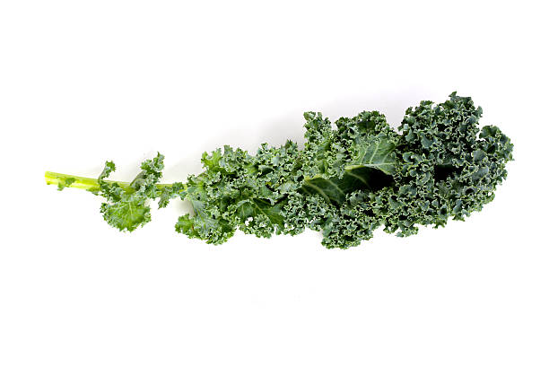 istock Fresh curly kale leaves with textured green surface. 2240674164