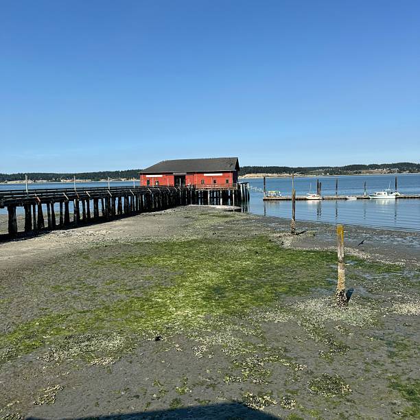 istock Shop on pier in northern Washington state 2240674710