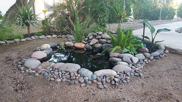 Tropical Pond with Plants and River Rocks in Arizona Backyard. High quality photo
