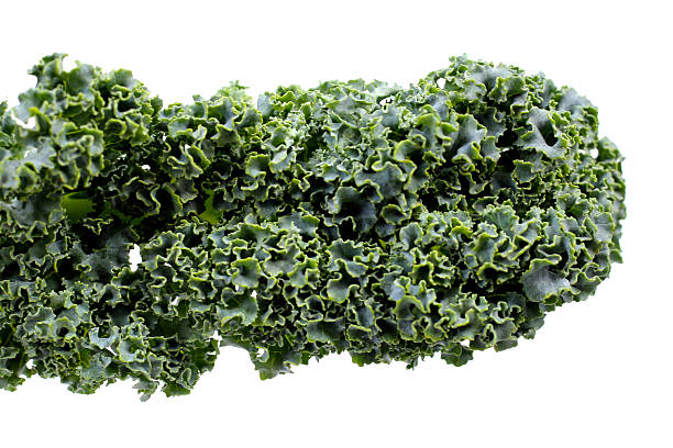 istock Fresh curly kale leaves with textured green surface. 2240680516