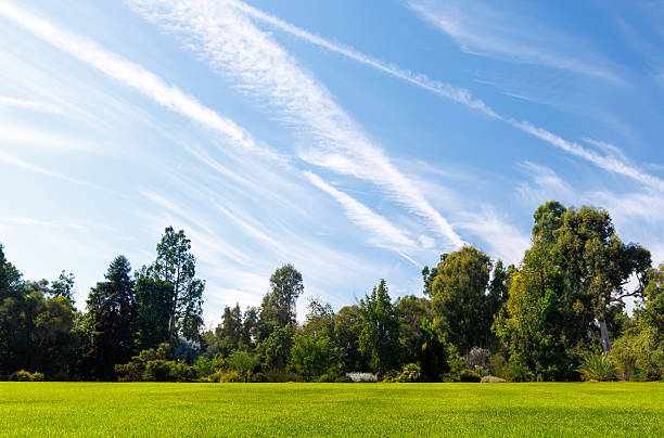 istock A vast green grass meadow stretching towards the horizon with a trees 2240689392