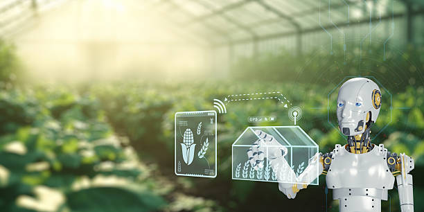 istock AI Robots Enhancing Agricultural Practices for Disease and Pest Control 2240690098