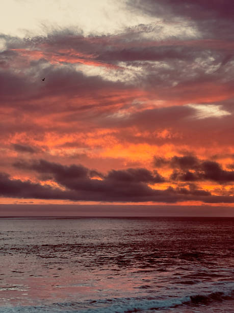 istock Intense Orange Twilight Sky Over the Sea (Vertical) 2240694070