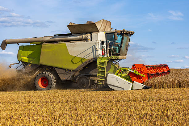 istock Heavy machinery operates in a harvested field as crops are gathered efficiently, showcasing the power of modern farming technology 2240696350