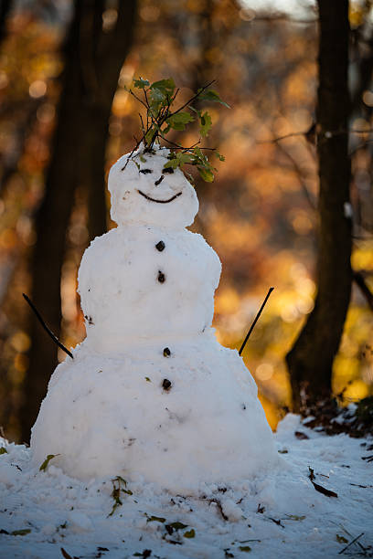 istock Snowman smiling in autumn winter forest 2240698186