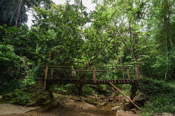 istock Serene Waterfall Scene in Chiang Mai with Lush Greenery and Bridge 2240698460