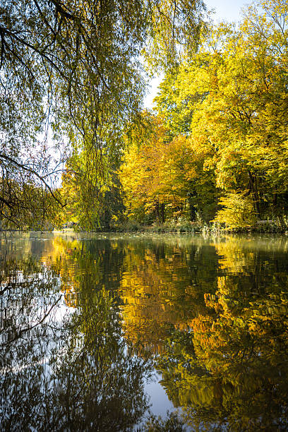 Autumn landscape with reflections from lake.