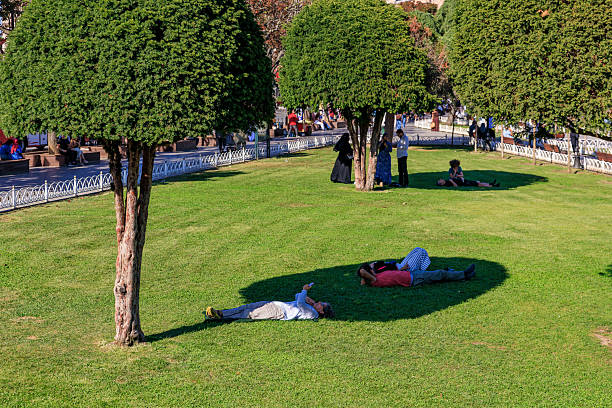 People relaxing on grass in sunny park with tall trees. August 12, 2025 Istanbul Turkey.