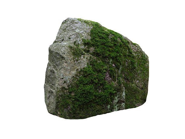 istock stone overgrown with moss isolated on white background 2240700222