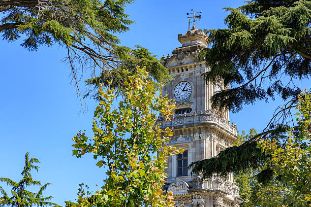 istock Historic clock tower framed by greenery on a clear day 2240703484