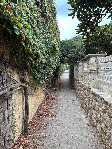 istock narrow passage between the fences 2240706013