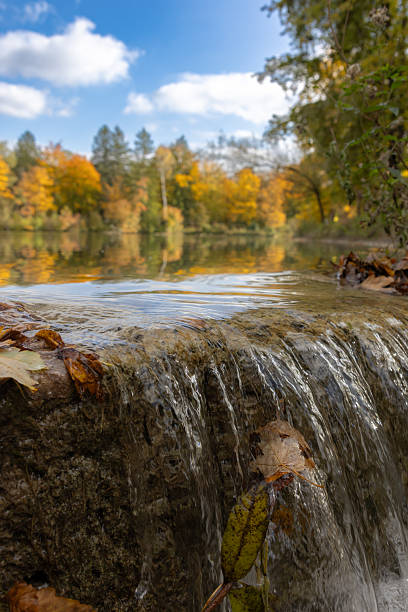 Close-up flowing water view with autumn landscape background.