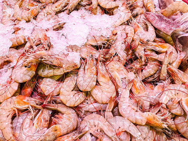 A crisp and appealing photograph of fresh whiteleg shrimp, also known as Vannamei, meticulously displayed on a bed of glistening crushed ice in a modern supermarket. This image showcases the high quality of the shrimp, highlighting their semi-translucent, greyish shells, firm texture, and consistent size. The icy background not only preserves their freshness but also creates a clean, vibrant contrast that makes the seafood look exceptionally marketable and delicious.This versatile image is ideal for a wide range of commercial applications. It is perfect for supermarket advertisements, weekly seafood promotions, restaurant menus, fish market branding, food blogs, cooking websites, and educational content about aquaculture, sustainable seafood, and healthy eating.