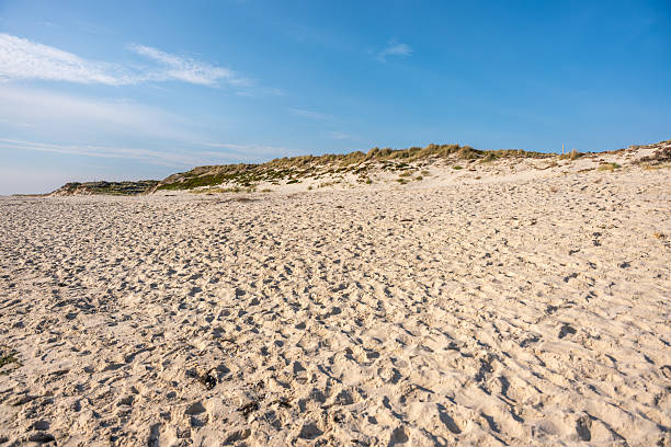 istock A wide sandy beach stretches under a clear blue sky, framed by dunes covered with sparse grass. 2240711076