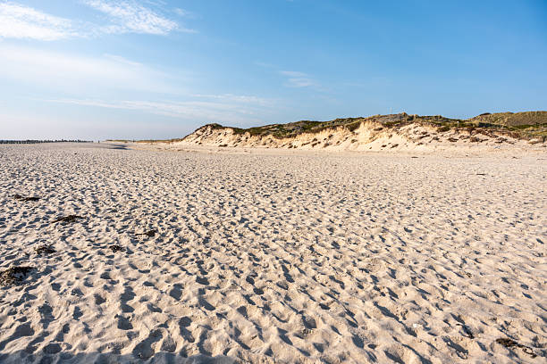 istock The coastline features soft sand leading to light dunes under a wide blue sky. 2240712021