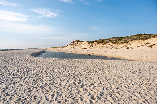 istock A narrow tidal pool meanders along the sandy beach, reflecting the blue sky above. 2240712864