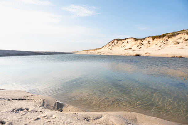 A tranquil stream of seawater cuts through the sandy shore beneath grassy dunes. The bright sunlight enhances the colors of sea and sand.