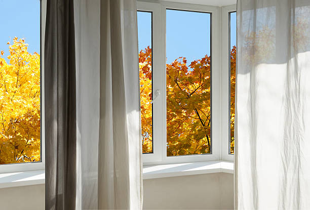 istock View from the window on yellow trees, landscape with autumn forest. 2240724423