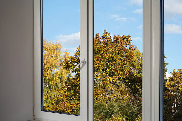 istock View from the window on yellow trees, landscape with autumn forest. 2240724424