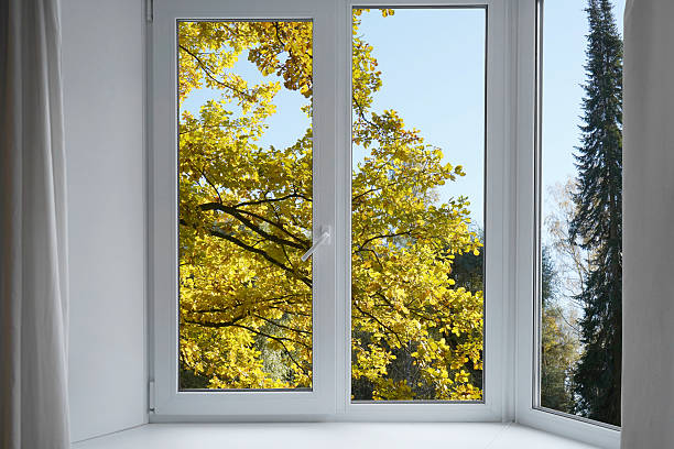 istock View from the window on yellow trees, landscape with autumn forest. 2240724450