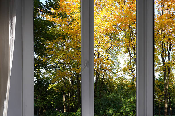 istock View from the window on yellow trees, landscape with autumn forest. 2240724456