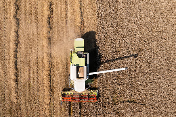 istock The view from directly above a crop field 2240726945