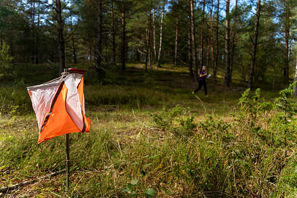 istock Street orienteering in a sunny pine forest. 2240730261