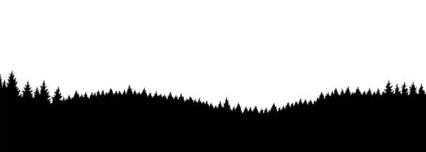 istock Mountains silhouettes landscape background. Rocky panorama with mountains skyline and pine tree forest. Scenery with slopes, vector cartoon illustration 2240730853