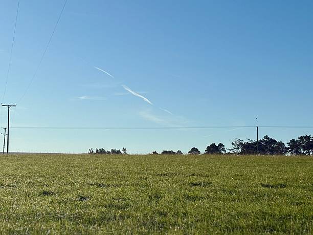 istock A serene, sunlit field stretches under a clear blue sky. Dew glistens on fresh green grass, with trees casting shadows to the left. A peaceful morning scene full of calm, nature, and quiet beauty. 2240734188
