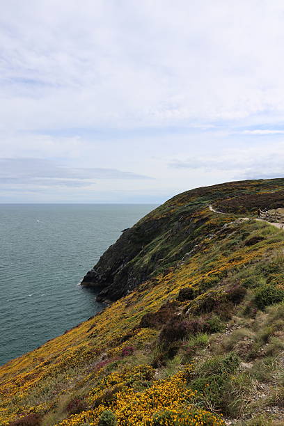 istock Howth Cliff Walk on a Sunny Summer Day 2240736104