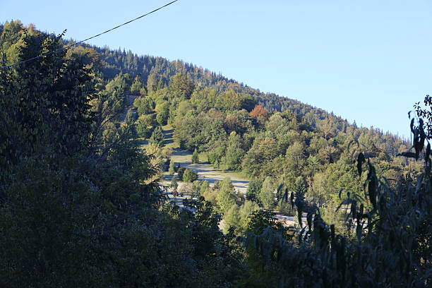 istock Mountain hillside covered with autumn forest and frost 2240737148