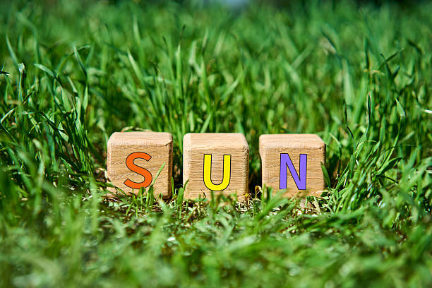 istock Wooden cube blocks with multicolor SUN text on fresh green grass 2240737304