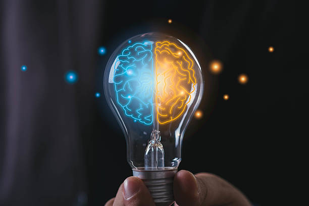 istock Close-up of hand holding light bulb with glowing brain, symbolizing creative and analytical thinking, intelligence, innovation, right and left brain balance, idea development, and mental power. 2240738809