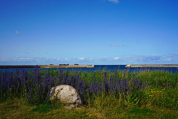 istock Stone and flowers at the Kivik harbour 2240739379