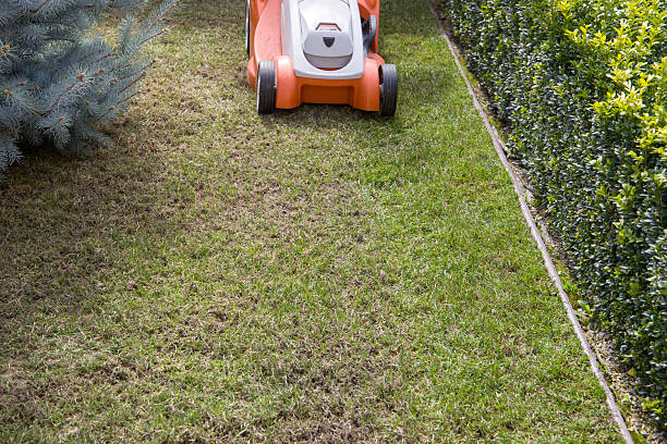 istock Scarifier. Removing dry lawn with a scarifier. Selective focus. 2240743447