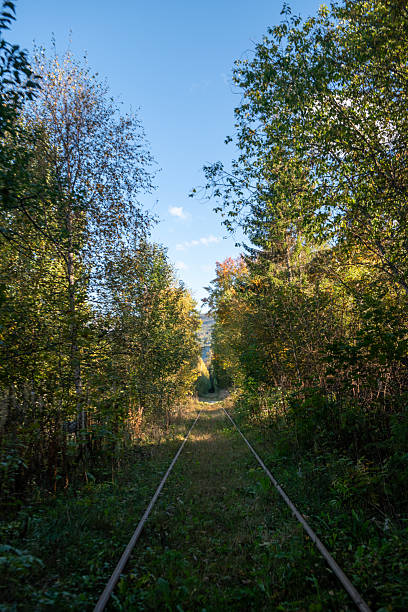 istock Numedalsbanen in the Fall 2240747685