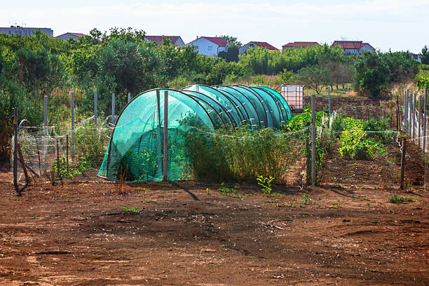 istock Greenhouse tunnels across dry soil field 2240751808